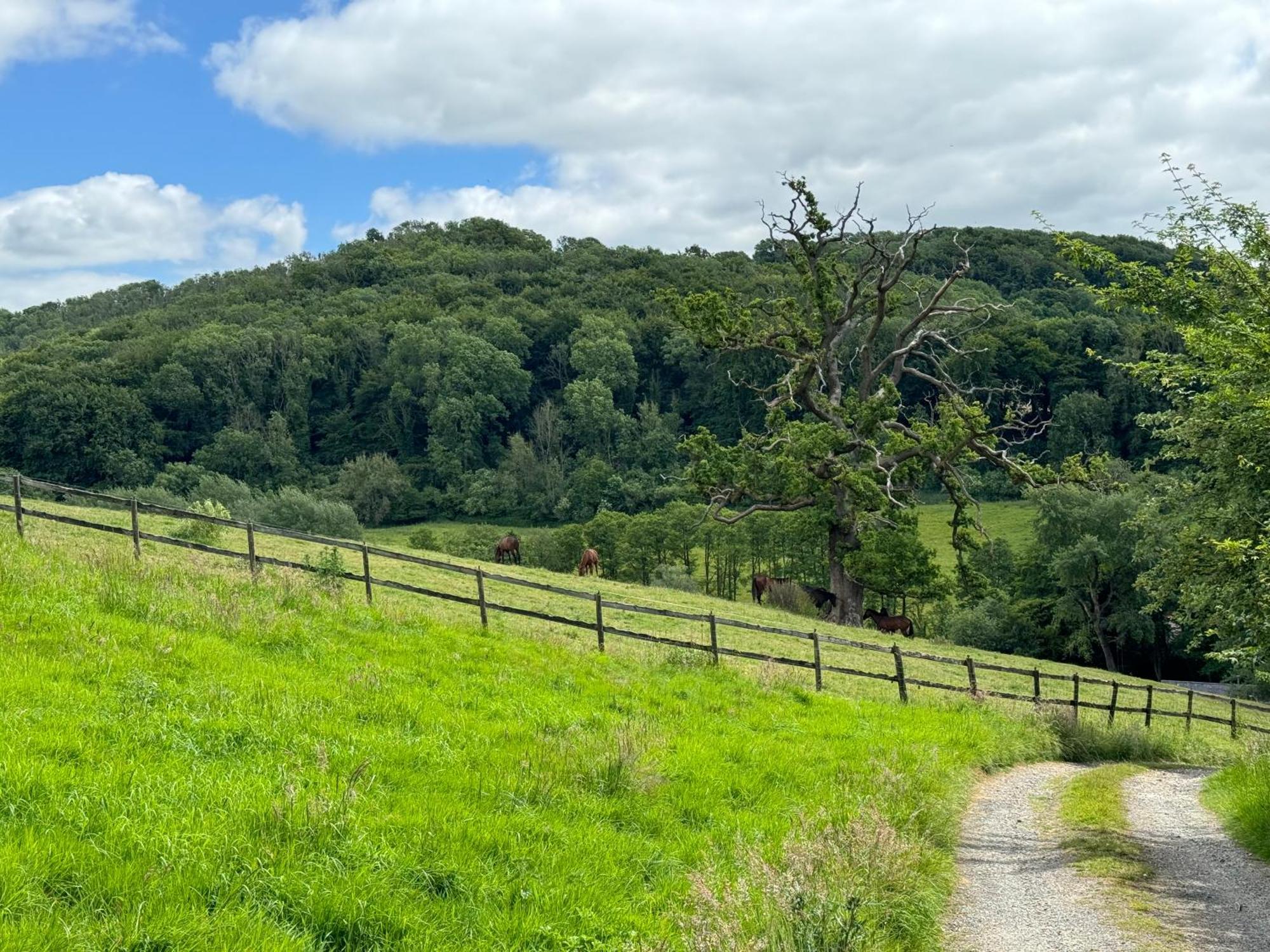 The Spring Slad Valley Cotswolds เพนส์วิค ภายนอก รูปภาพ